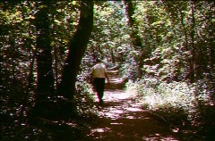 hiking
